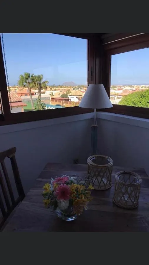Butterfly Suite Corralejo Spagna